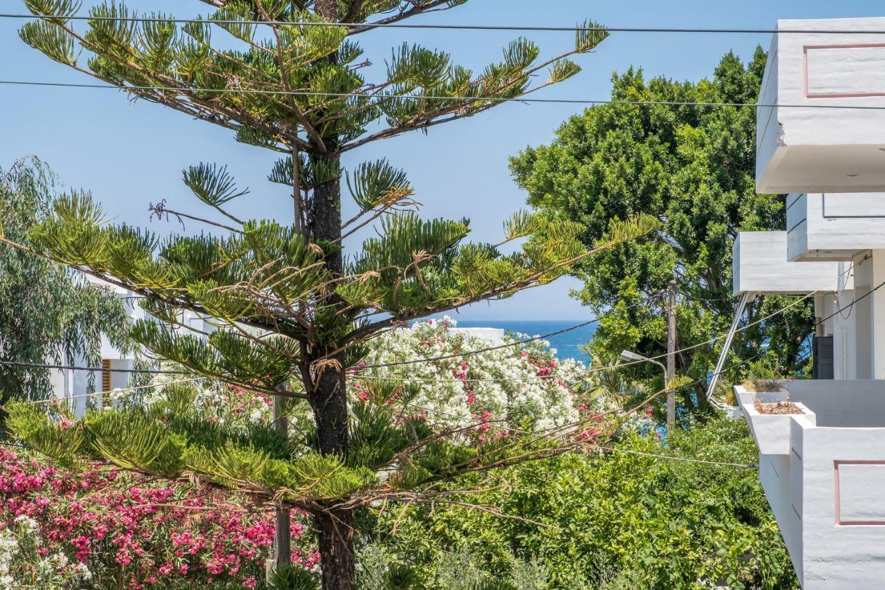Villa Aeras Kato Daratso Zewnętrze zdjęcie