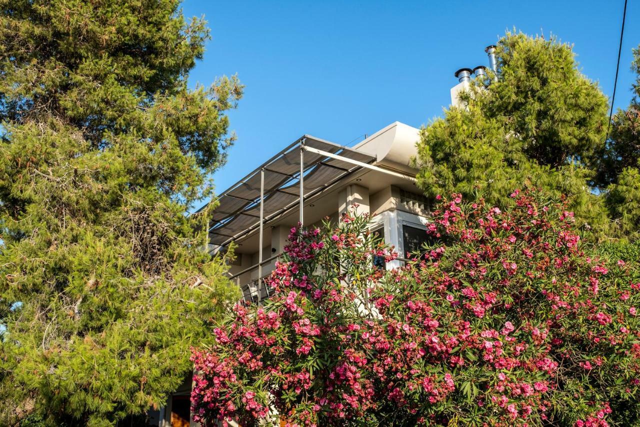 Villa Aeras Kato Daratso Zewnętrze zdjęcie